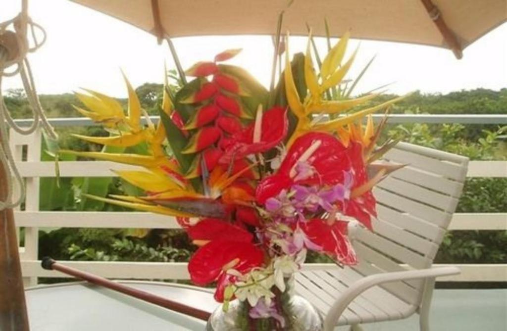 Hale-Hoola B & B Captain Cook Quarto foto